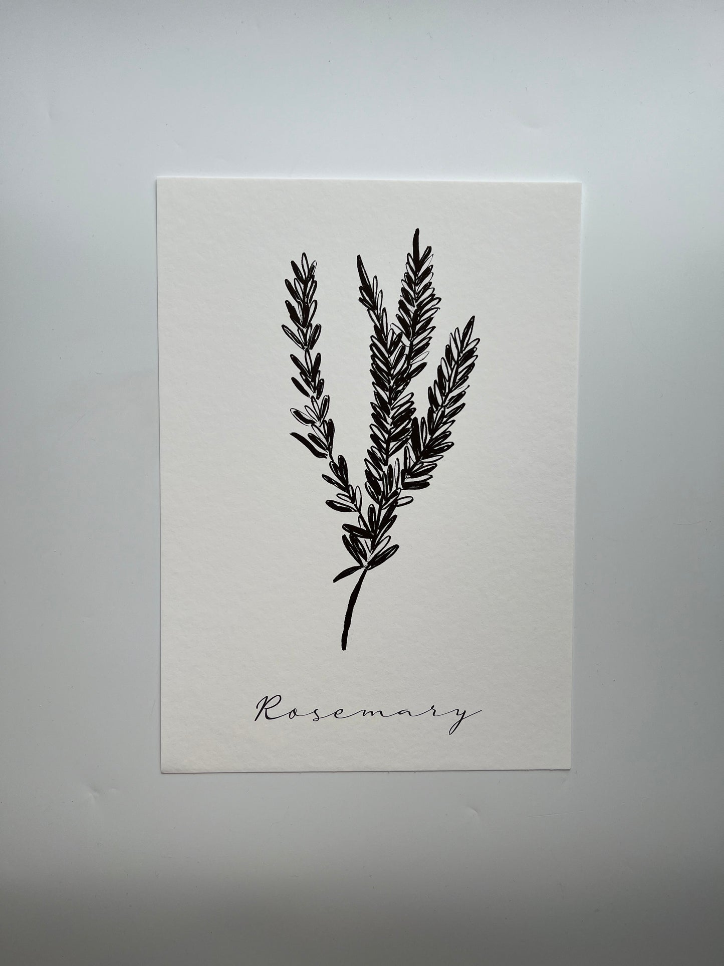 Rosemary Art Print | Foodie Print | Kitchen print