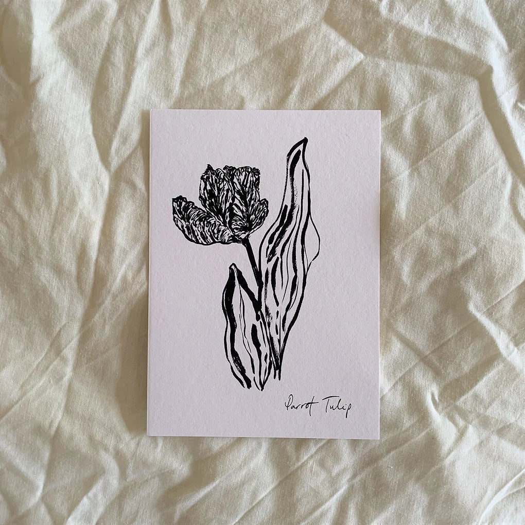 Open Parrot Tulip Art Print