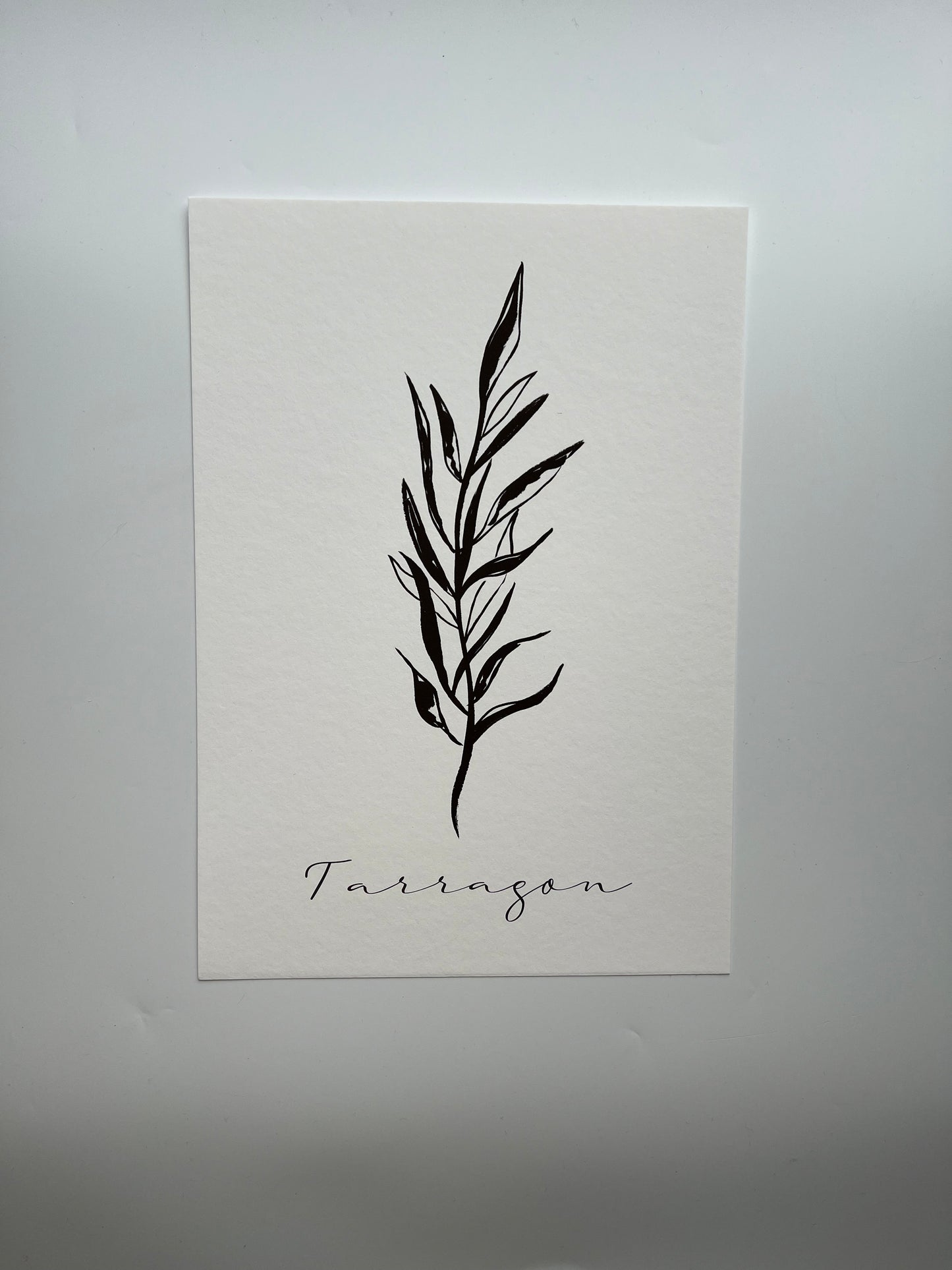 Tarragon Art  Print | Kitchen Art | Foodie gift | Herb Art Print