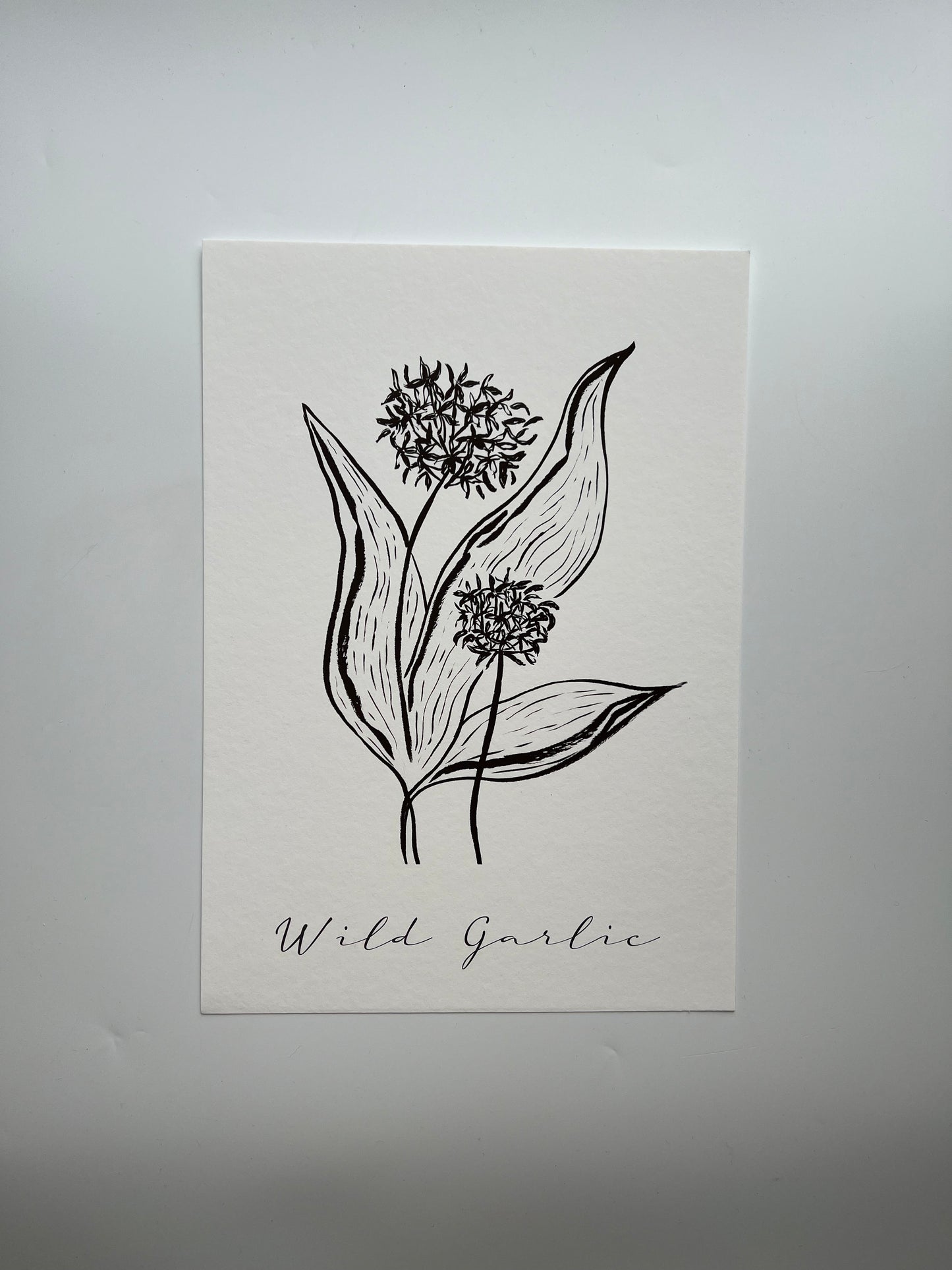 Wild Garlic Print | Foodie Print | Kitchen Print | Herb Print
