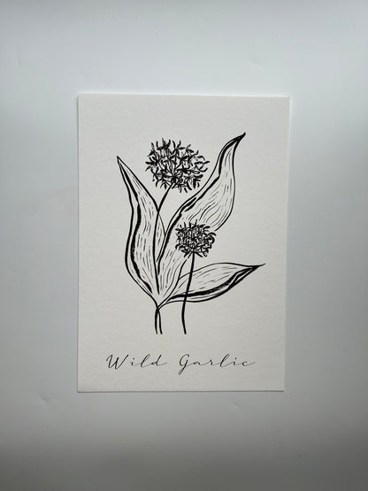 Wild Garlic Print | Foodie Print | Kitchen Print | Herb Print