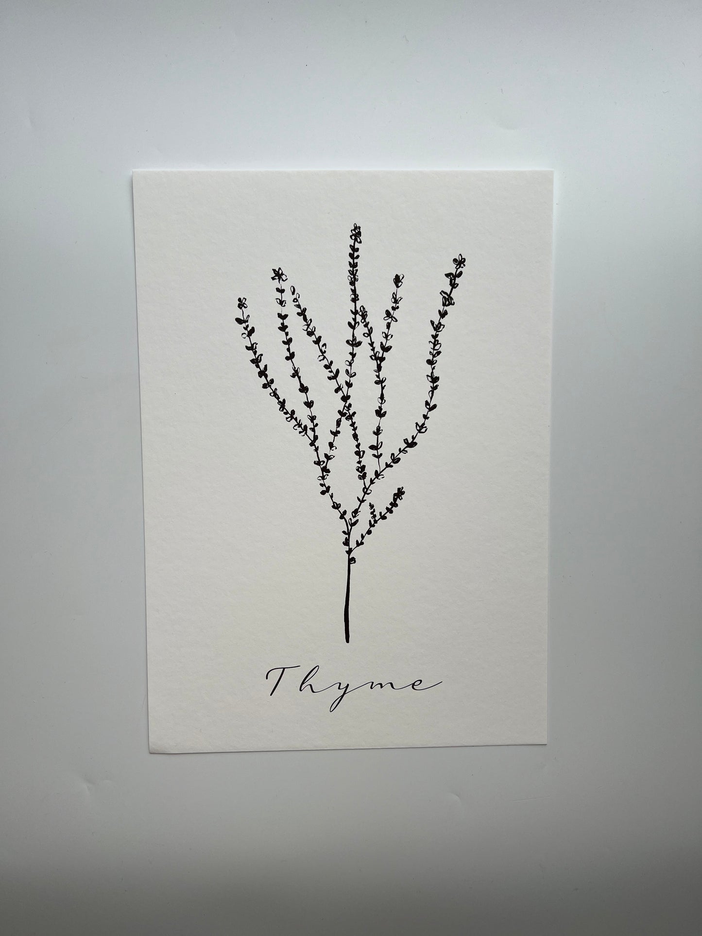 Thyme art  Print | herb wall art | kitchen print |foodie art gift