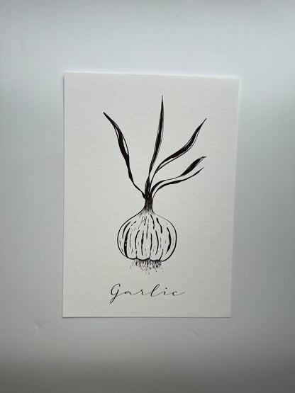 Garlic Bulb Art Print |Kitchen Art Print | Foodie Present