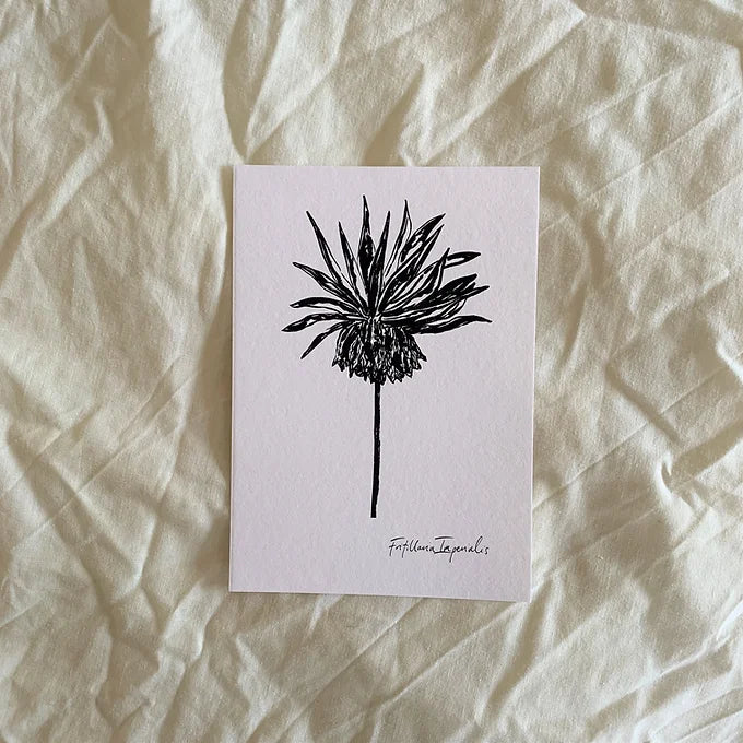 Fritillaria Imperialis Art Print