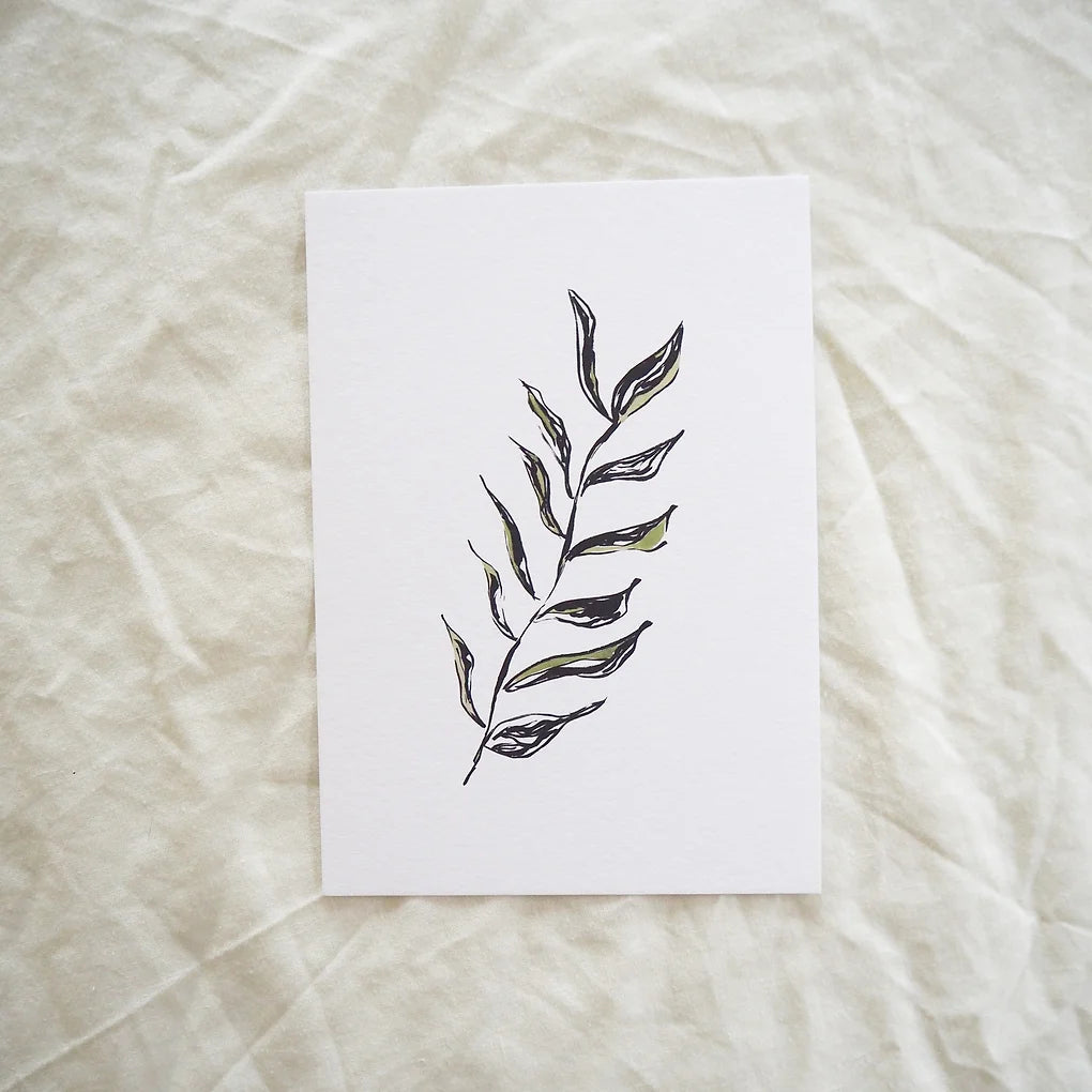 Green Olive Branch