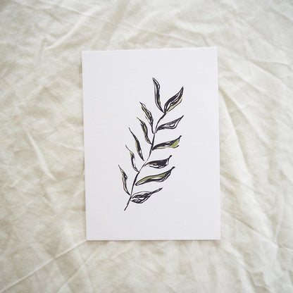 Green Olive Branch