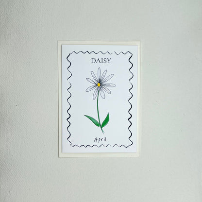Birth Flower Card Collection - 12 Pack