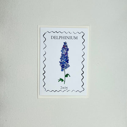 Birth Flower Card Collection - 12 Pack