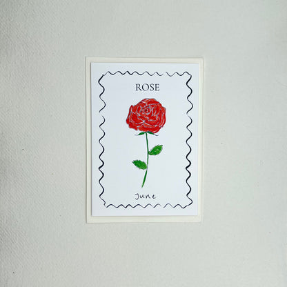 Birth Flower Card Collection - 12 Pack