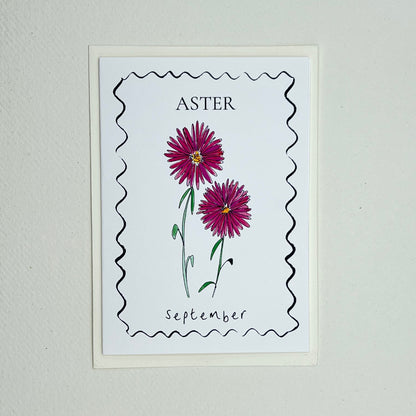 Birth Flower Card Collection - 12 Pack