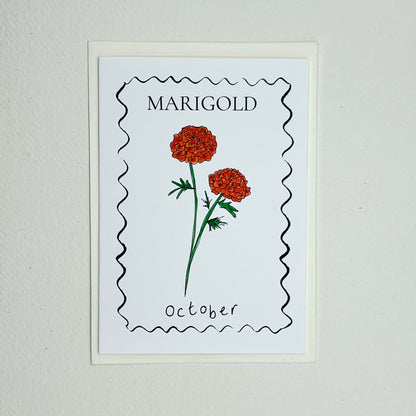 Birth Flower Card Collection - 12 Pack