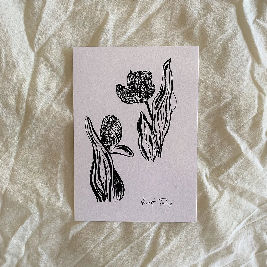 Open and Closed Parrot Tulip