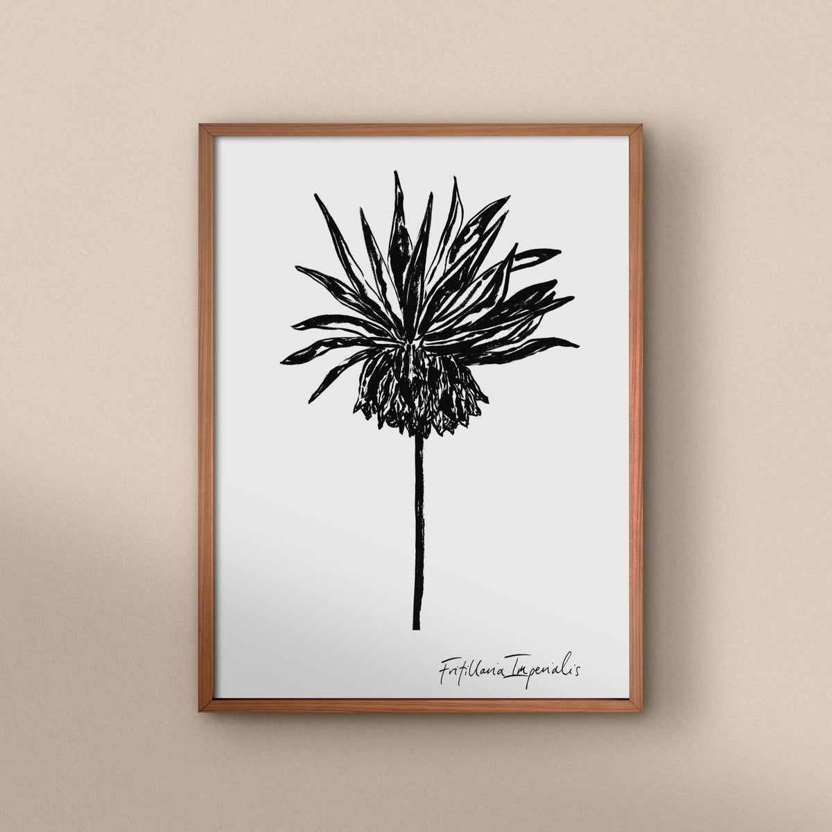 Fritillaria Imperialis Art Print