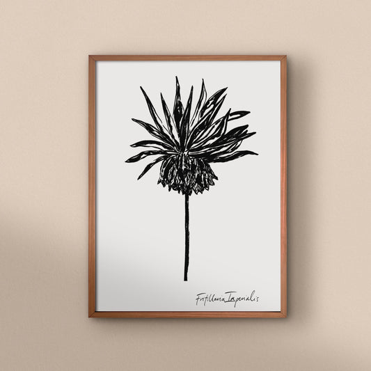 Fritillaria Imperialis Art Print