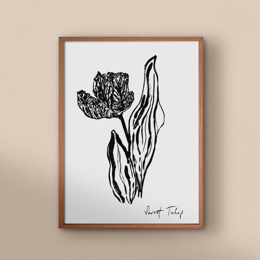 Open Parrot Tulip Art Print