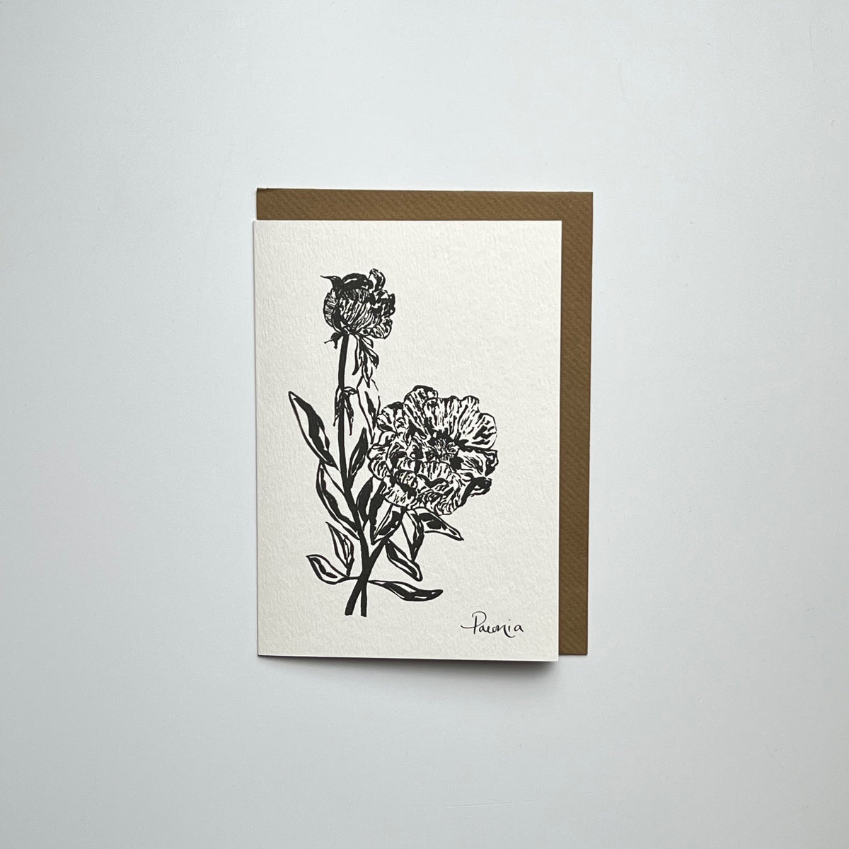 Paeonia Art Greeting Card