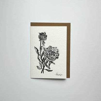 Paeonia Art Greeting Card
