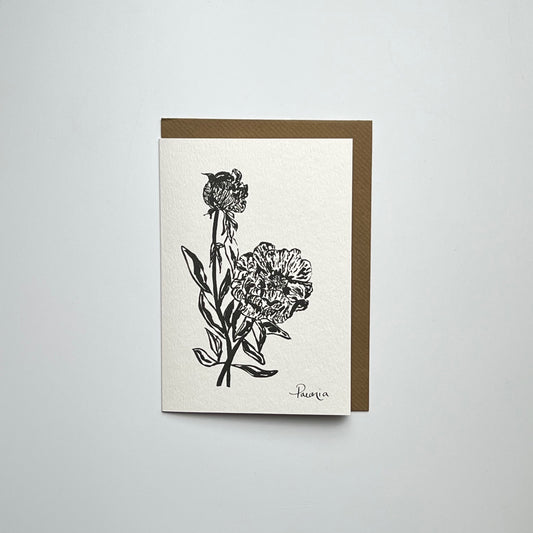 Paeonia Art Greeting Card
